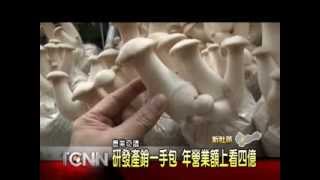 大台中新聞- 新社天下第一菇 杏鮑菇產量冠全台