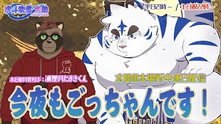 今夜もごっちゃんです！太助の本場所中連日配信【七月場所三日目】