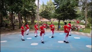 UNTUKMU INDONESIAKU 🇮🇩🇮🇩💪💪DEMO DLD STUDIO  RAYUAN PULAU KELAPA LINE DANCE  (DUMA KRISTINA S ( INA))