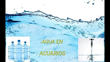 ¿Qué agua es mejor para la pecera?