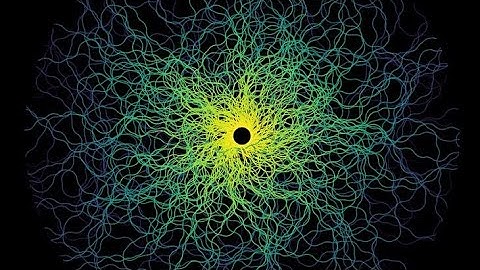 رسم شكل هندسي في بايثون مكتبة السلحفاة على الهاتف Draw an engineering shape in Python, the turtle