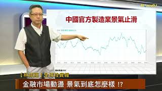 20190808【林成蔭投資密碼】 金融市場動盪 景氣到底怎麼樣！？