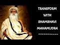 Sadhguru - After Shambhavi Mahamudra Everything around you will Respond Differently