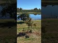 Orchard and winery #farm #travel #summer #usa #newyork #lake  #america #fruit #orchard #turkey #zoo