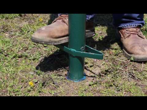 Video: Zoysia Grass Plugs: Instructiuni pentru plantarea Zoysia Plugs - Gardening Know How