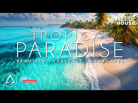 24/7 LIVE Tropical Paradise | Aruba, Bahamas, Saint Martin, Mexico with Tropical House Vibes