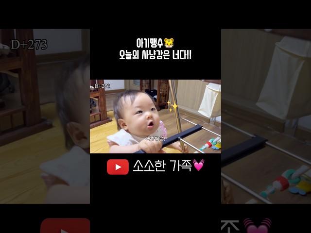 마지막은 오열엔딩ㅋㅋㅋㅋ#8개월아기