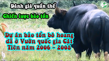 Dự án bảo tồn các loài bò hoang dã ở Vườn quốc gia Cát tiên 2006 - 2008. Wild Gaurs project in CTNP.