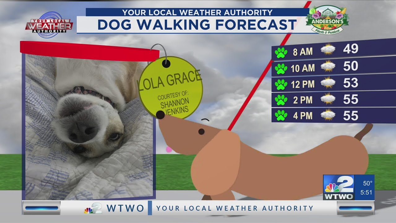 Dog Walk Forecast 1-6-26 - Lola Grace