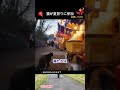 猫が夏祭りに参加?神社で出会った2匹のかわいい猫