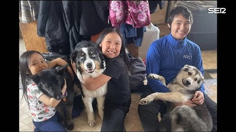 Una familia se reencuentra con su perro perdido en Alaska: había recorrido 240 kilómetros