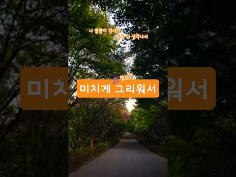 미치게 그리워서 황가람 유해준 발라드