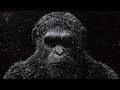 Dark minimal techno trip live radio 247 dark monkey music