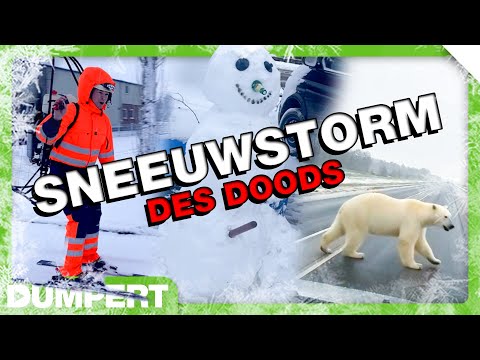 De ULTIEME Sneeuwcompilatie des DOODS!