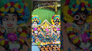 Hare Krishna 🌻🙏 #krishna #hindu #vrindavan #radharani #mayapurtv #iskonian #shyam #radhekrishna