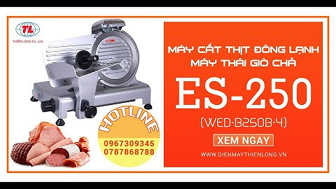 Máy Cắt Thịt Đông Lạnh ALPHA🌟ES-250🌟(NEW)✨WED-B250B-4 | Thiên Long ☎️0967.309.345