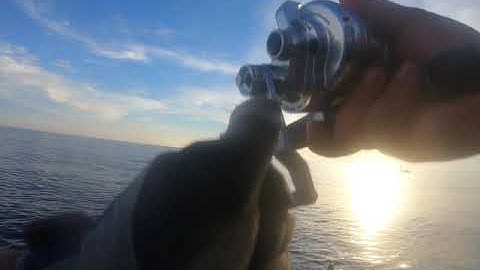 5-9-19 Jigging ( Ruby Snapper )