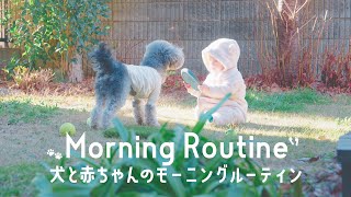 犬と0歳児赤ちゃんの子育てモーニングルーティン