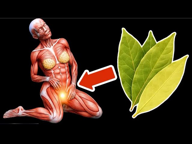 Орыс секс жүктеу