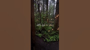 سورة النساء-القران الكريم