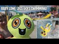 Baby Long Legs Goes Swimming!