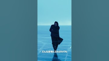 映画『ハルビン』予告編