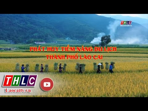 Phóng sự tài