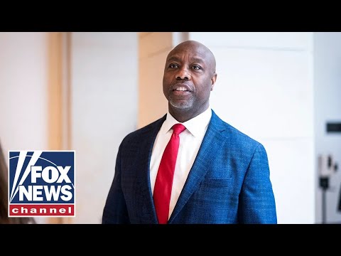 ‘DISRESPECTFUL’: Tim Scott takes heat for endorsing Trump