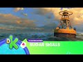 Youtube Thumbnail title