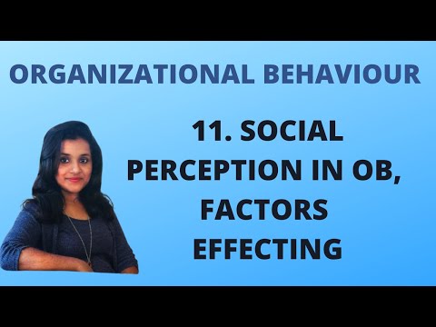 11. Social Perception in OB, Factors Effecting |OB|
