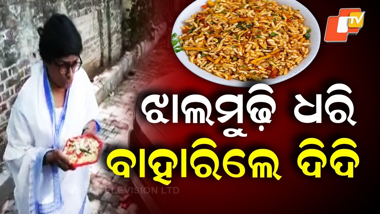 Person Dressed as Mamata Didi Distributes Jhalmuri on Bengal Streets