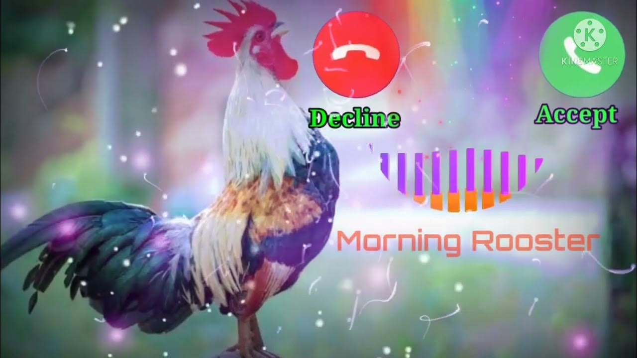 Abe Yar New Sms Ringtone Funny Ringtone Alarm Ringtone Call Ringtone