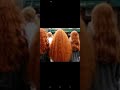 بنات شعرهم احمر هل تقبلون الزواج من فقير اذا اي اكتبي اقبل و شباب اذا كنت فقير هنا ستجد بنات يقبلن بنات شعرهم احمر هل تقبلون الزواج من فقير اذا اي اكتبي اقبل و شباب اذا كنت فقير هنا ستجد بنات يقبلن