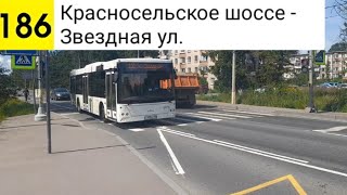 картинка: Автобус 186. Красносельское шоссе - Звездная ул.