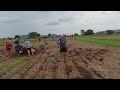 పశువుల ఎరువు వెద జల్లుతున్నాం #agriculture #farming #telugufarmer #telugu