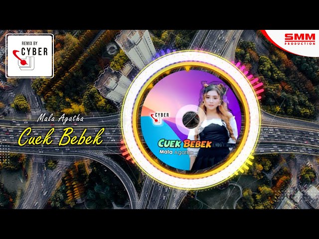 Mala Agatha - Cuek Bebek (OFFICIAL REMIX) {CYBER DJ} class=