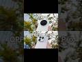 Oppo Find X9s Pro vs Vivo X300s Comparison Both 50MP telephoto lenses produce superior image quality