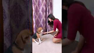 Sakshi Malik Hot Video Sakshi Malik Latest Video Hot Reels