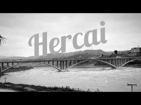 Hercai (Sana ben şiirler sözler büyüttüm)(eylem aktaş) #hercai #4evaduseSoundtracks Yeni Ömer dilsiz