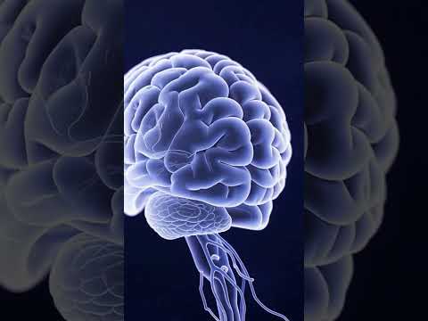 كيف يؤدي التنافر المعرفي إلى تدمير الأفراد والمجتمعات والأمم