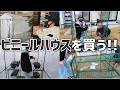 【簡易ハウス】組立簡単!!安い!!丈夫!!ホームセンターで良いビニールハウス見つけました。