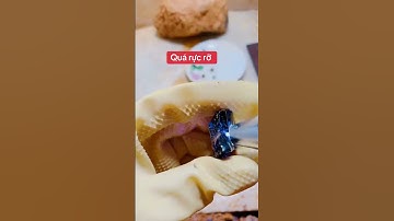 đổ thạch đá quý an phú lục yên