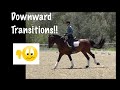 Downward Transitions!!