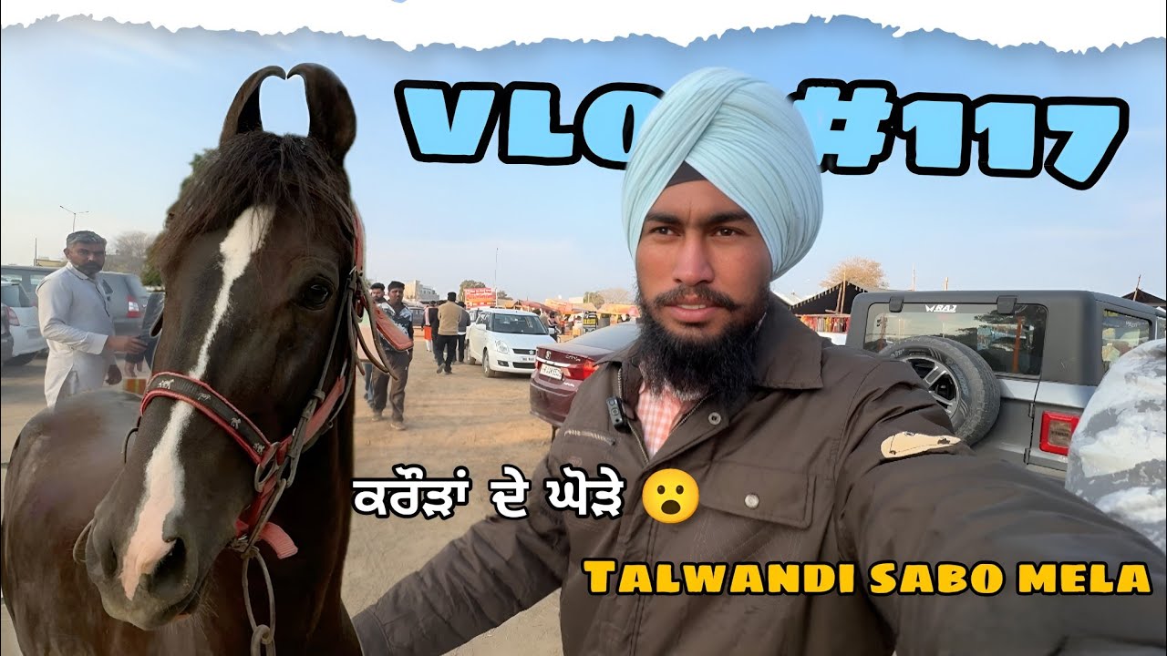 Horse fair 2k26 VLOG