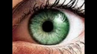 AMADO BATISTA OLHOS VERDES