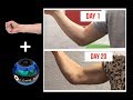 How to get big forearms in 20 days  using the powerball