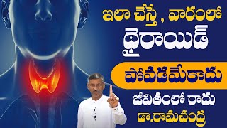 How To Cure Thyroid Problem Permanently | Thyroid Diet Plan | Dr Ramachandra | Hi Tv Health