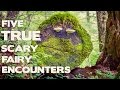 Five TRUE Scary Fairy  Encounters (True Fairy Encounters - Collaboration with Darkness Prevails)