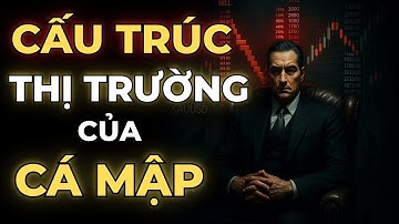CẤU TRÚC THỊ TRƯỜNG - BẢN ĐỒ BÍ MẬT CÁ MẬP DÙNG ĐỂ BẪY TRADER NHỎ LẺ | MẬT MÃ TRADING