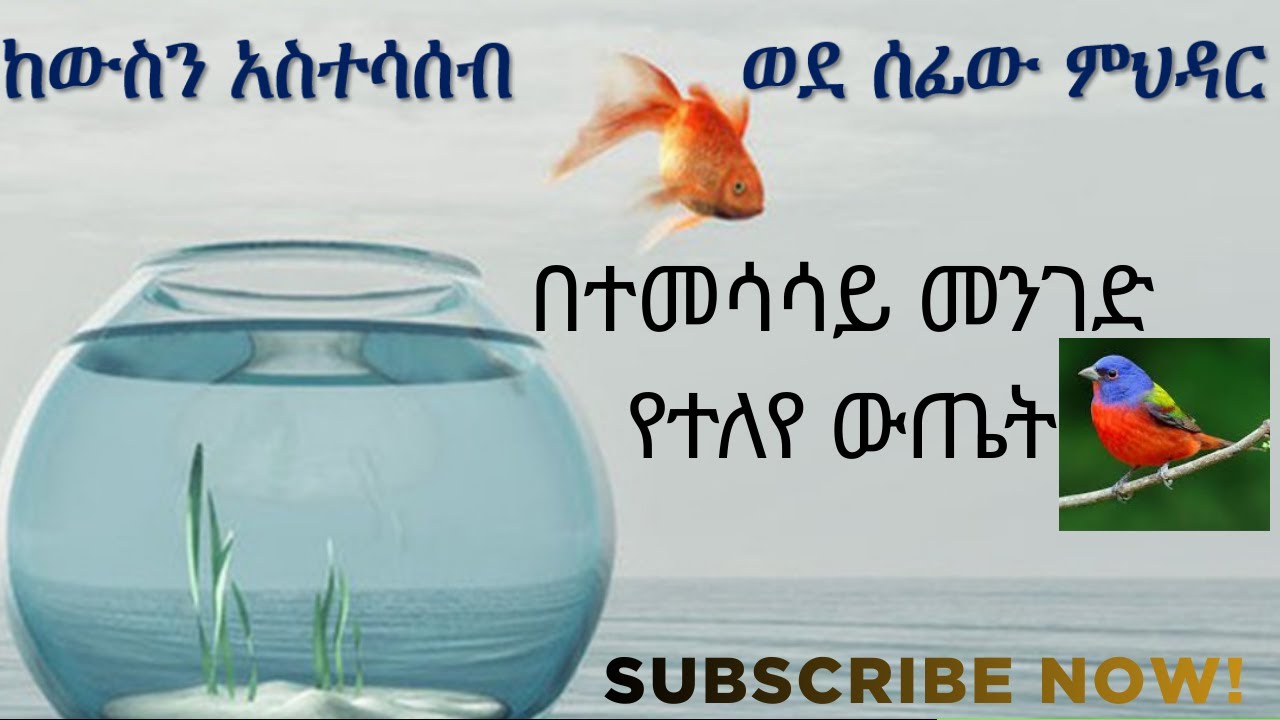 በተመሳሳይ መንገድ የተለየ ውጤት አትጠብቁ!!! /Think Out of the Box !